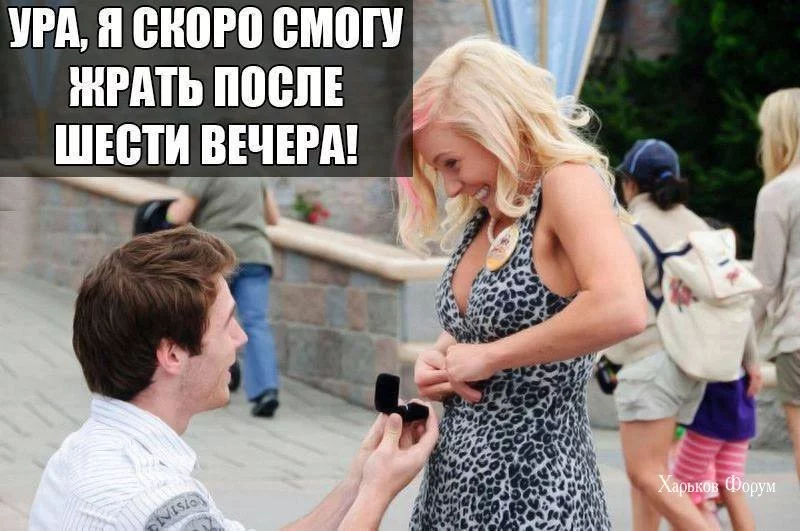 59081fc050505442.webp