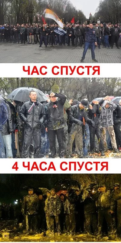 59113534bb09cf3e0f.webp