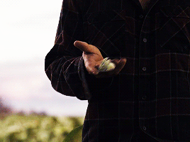 591b69e8b67cb48b5ffe046c685a87855796f620.gif
