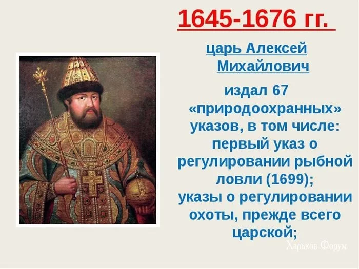5925bf15d5ac6d9a80d6.webp