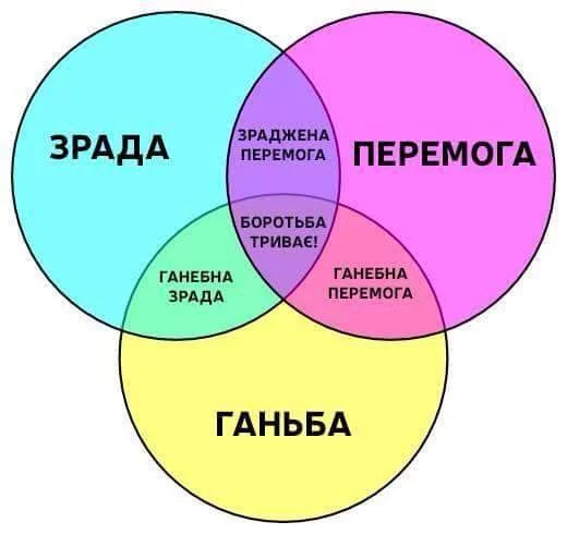 5935224_original.webp