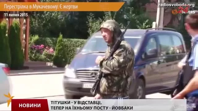 593565_main.mp4.webp