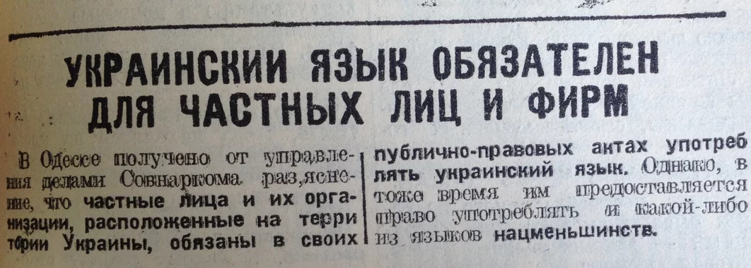 593667_original.webp