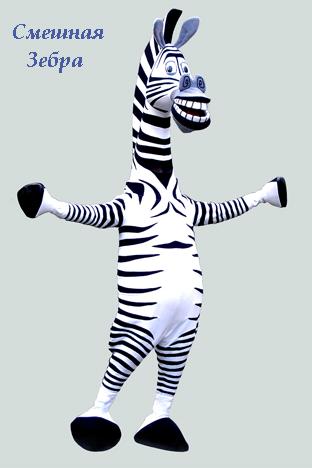 5938396_Smeshnaya_Zebra.jpg