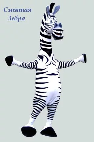5938396_Smeshnaya_Zebra.webp