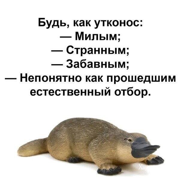5938d5b766d41dbbe4683b.jpg