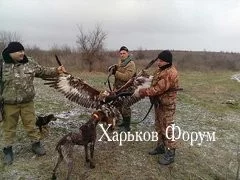 593c2c90f5db2c58.webp