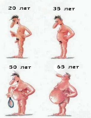 5942_original.webp