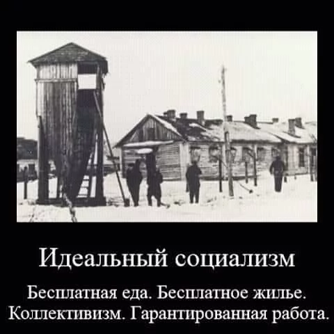 594585_900.webp
