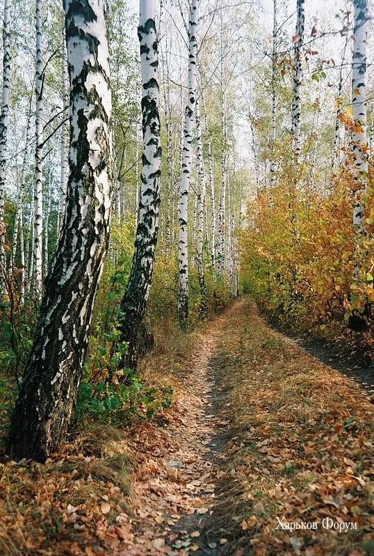 594b05131b9e94e14c1.webp