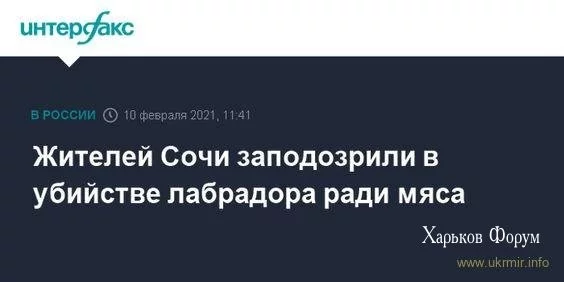 5951ce859e2aaabd.webp