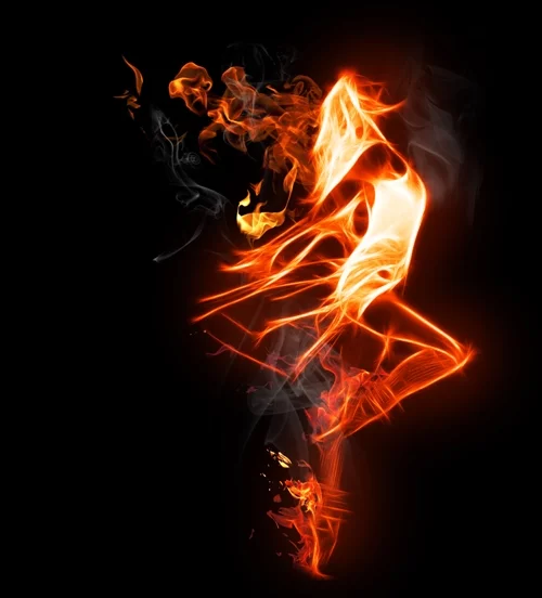 59525905_76da883fd354.webp