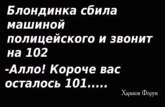 59562c42e34589b44be4.webp