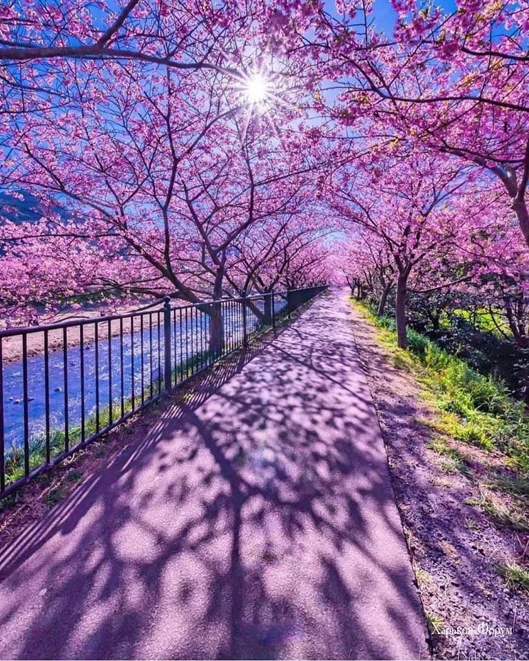 59585f40becc10f6b0cef5aa.webp
