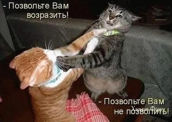 595dd46ad74cba0e.webp