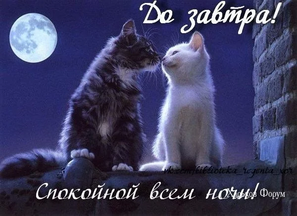 59af9094c3808ddadd30e313.webp