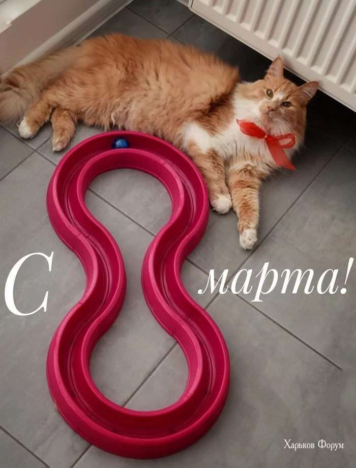 59b057d061ea2a157d1.webp