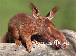 59bbb0ed25d5bdccb.jpg
