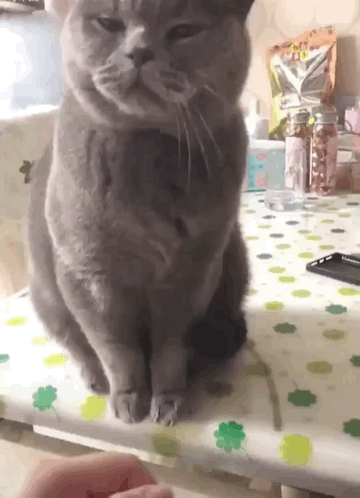 59d53ff4b7c1c6b98.gif