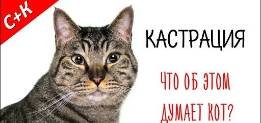 59d5d97a9bef01e82da.webp