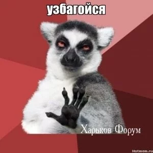 59ee53ac24507324b78.webp
