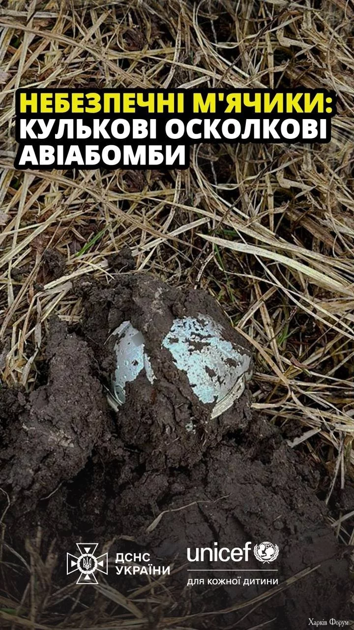 5_68a5bbc73fe56.webp