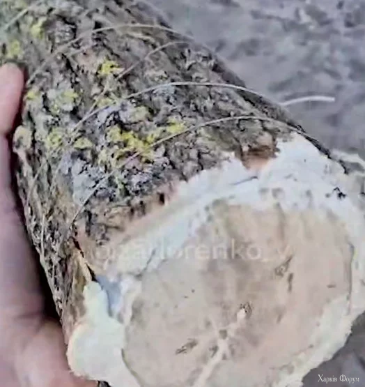 5_68ce7a51530f0.webp