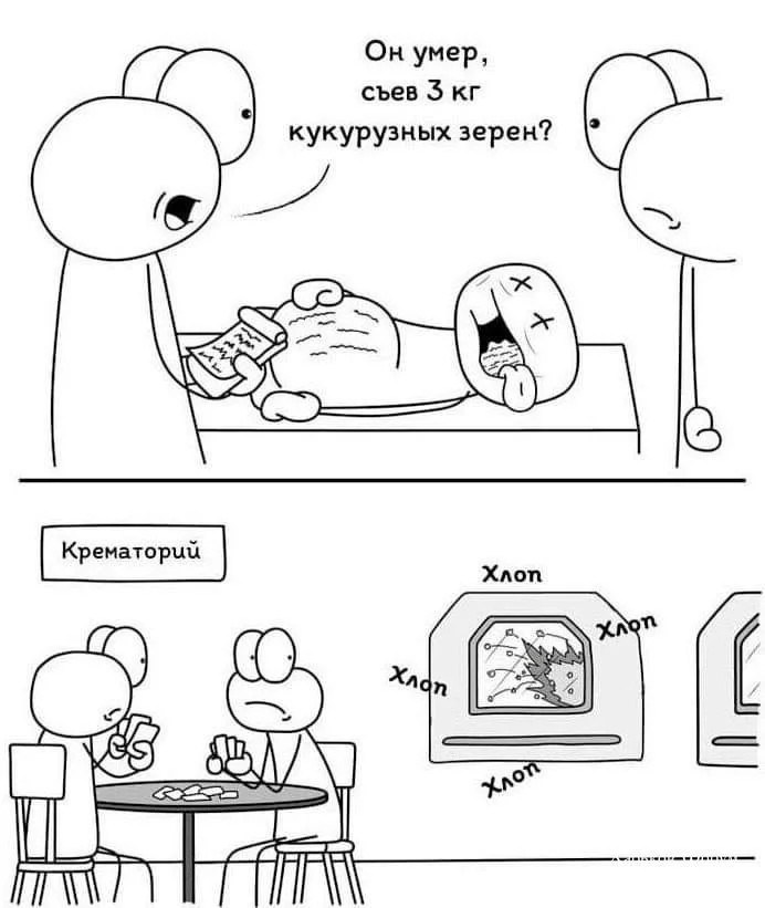 5a0cf2f7e09f349e47525605.webp