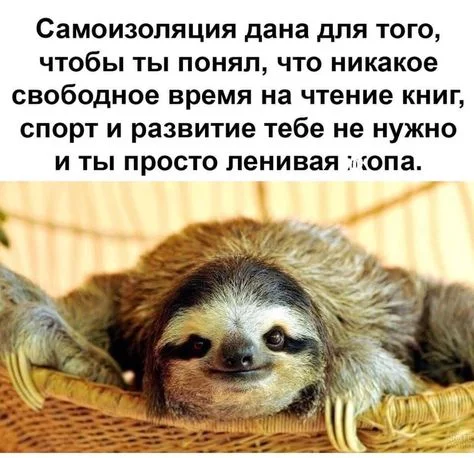 5a344715c93f2492be4272b54fc260a9.webp