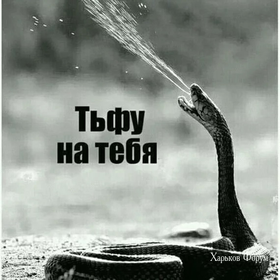 5a535b8d04bf390be.webp