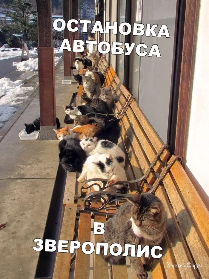 5a64154c581b8767f7787.webp