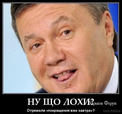 5aa52252ce35063f.webp
