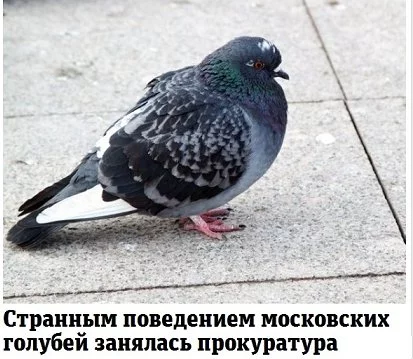 5aacjh.webp