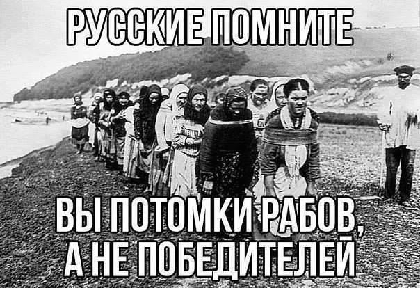 5aahbj.webp
