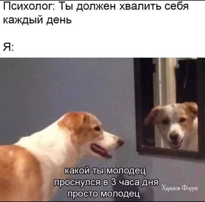 5ab20259e6026931df.webp