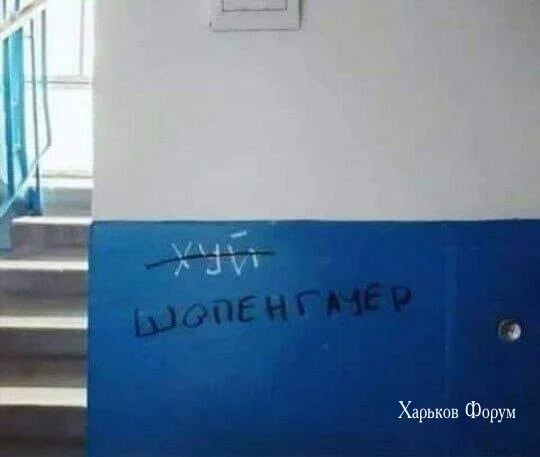 5ad0863c9c0135c88b4ccd6.webp