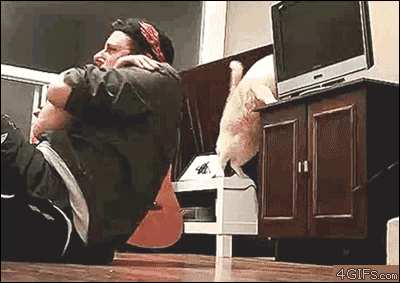5adf1b9bf1ef607b.gif