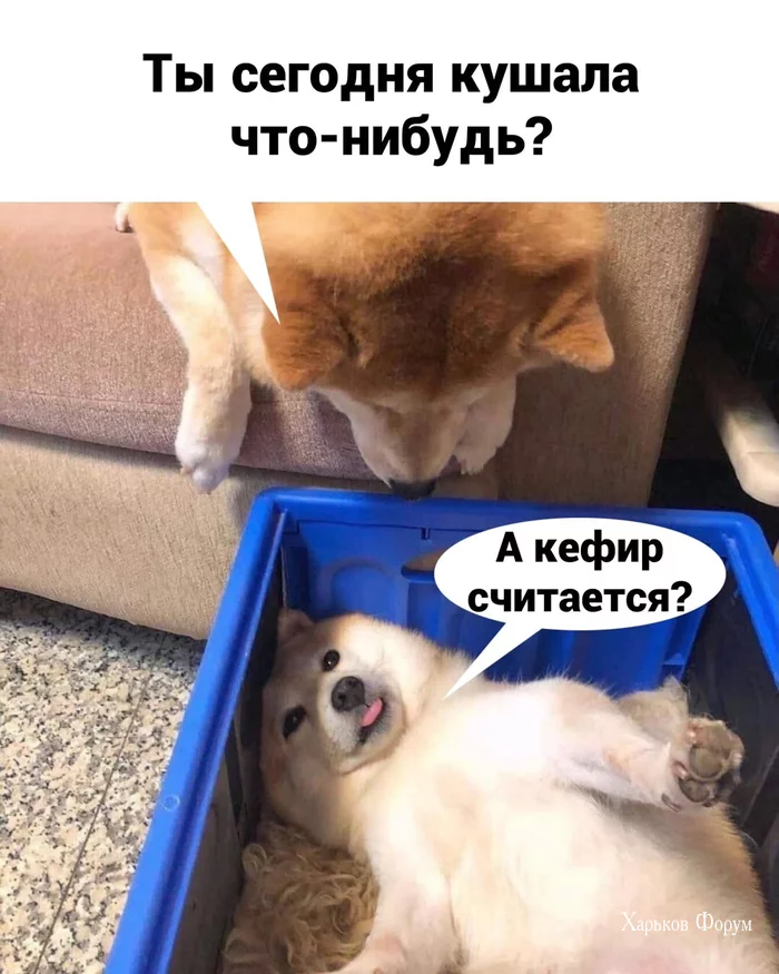 5ae4c9532d718d64a42f.webp