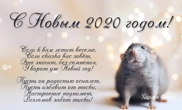 5ae588bd810d2c47a3df60.webp