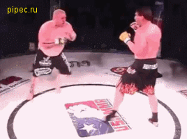 5ae5c5809485a4e21542538c3c8971fa.gif
