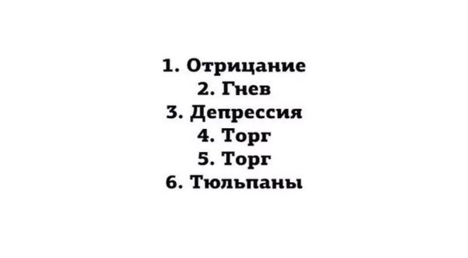 5ae805958369633ba08.webp