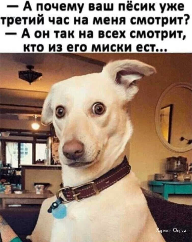 5ae9fcb87421e59364a.webp