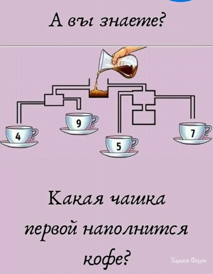 5aea02180c3f2608be017.webp