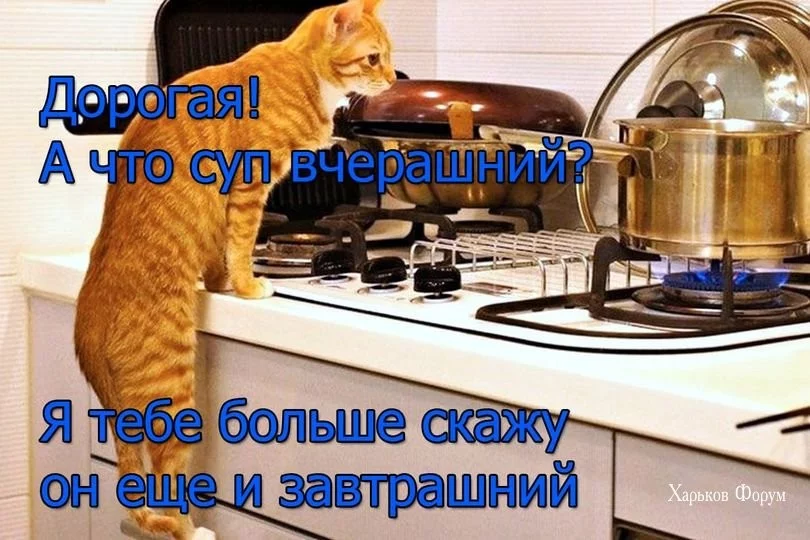 5aec1639dd3b71f9042.webp