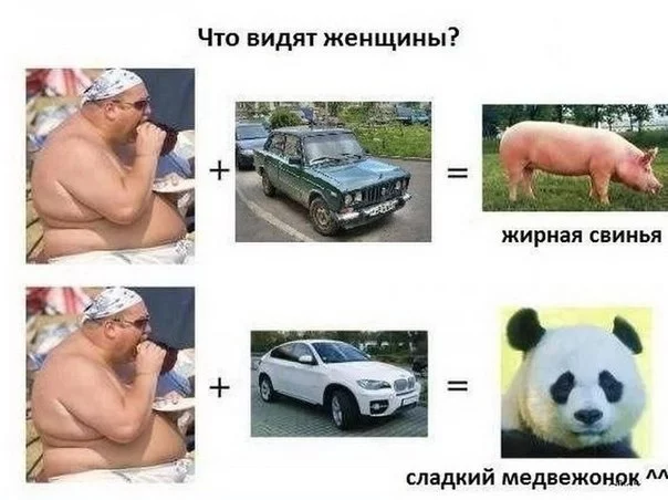 5aecbd.webp