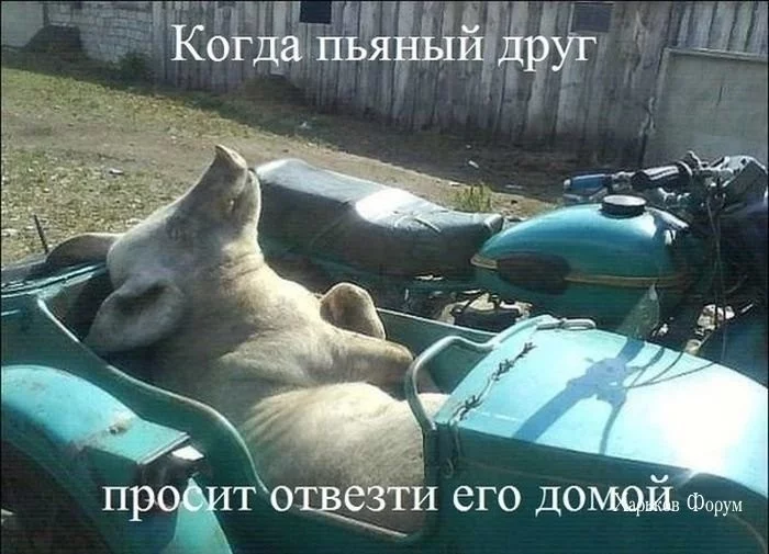 5af4708fd14849215a.webp