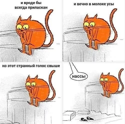 5b067d9b25b00dcc1b7.webp