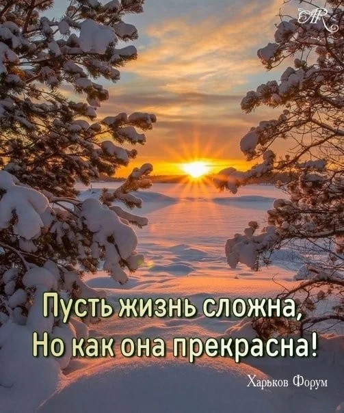 5b081f64c6a1e36a319.webp
