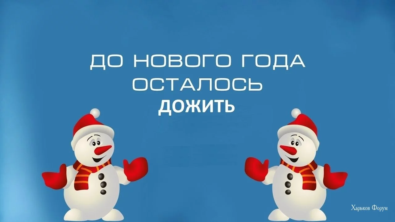 5b5e0bc9749cc76bb2.webp