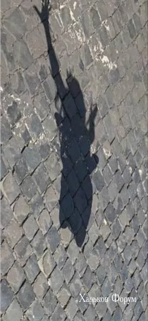 5b6e4727fbb1ff40afe563c4.webp
